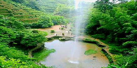 南平市武夷山市宁上高速北部洋庄乡大安村