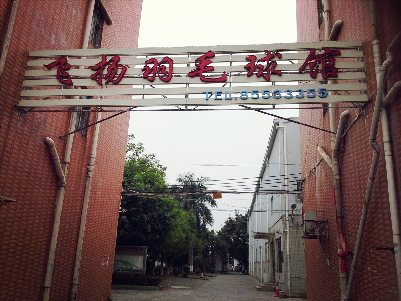 飞扬羽毛球馆