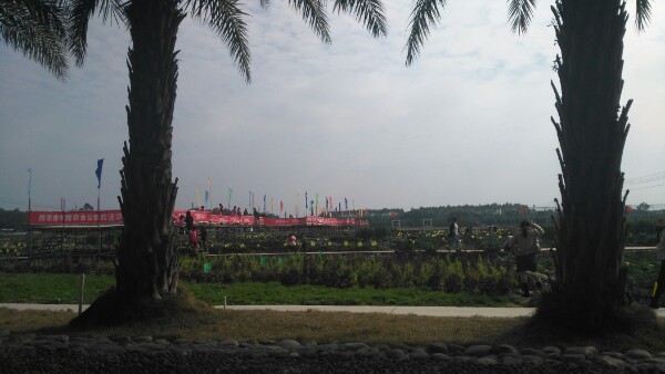 四季绿农业科普公_惠州_百度地图