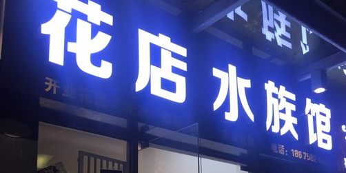 花点水族馆(萝岗奥园广场店)