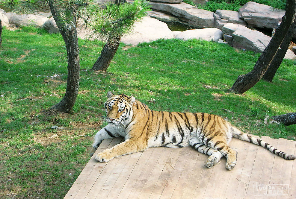 三峡森林野生动物世界_宜昌_百度地图