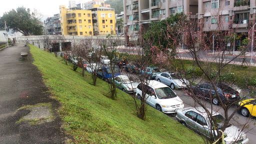 万兴樱花生态景观公园