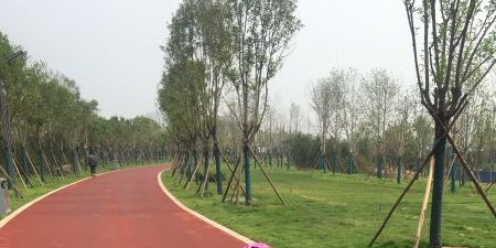 体育公园