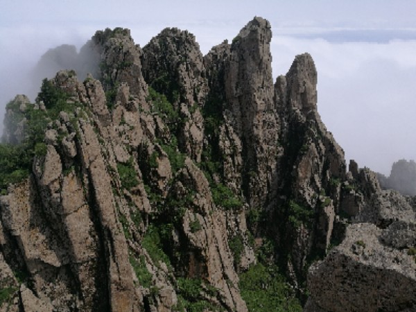 芦芽山旅游度假区-游客中心