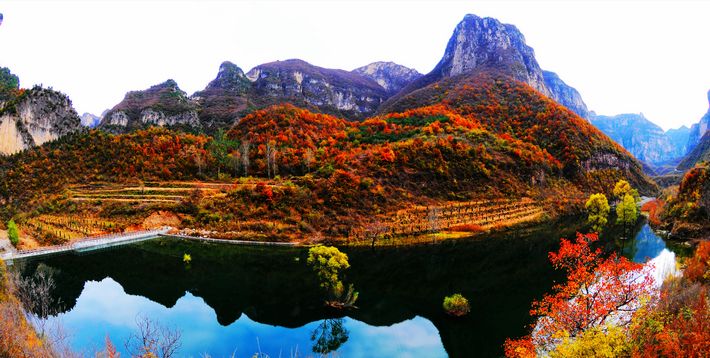 龙滩大峡谷珍希植物园