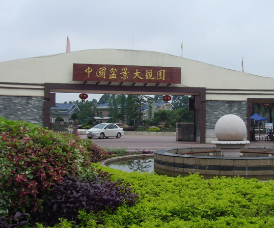 盆景世界