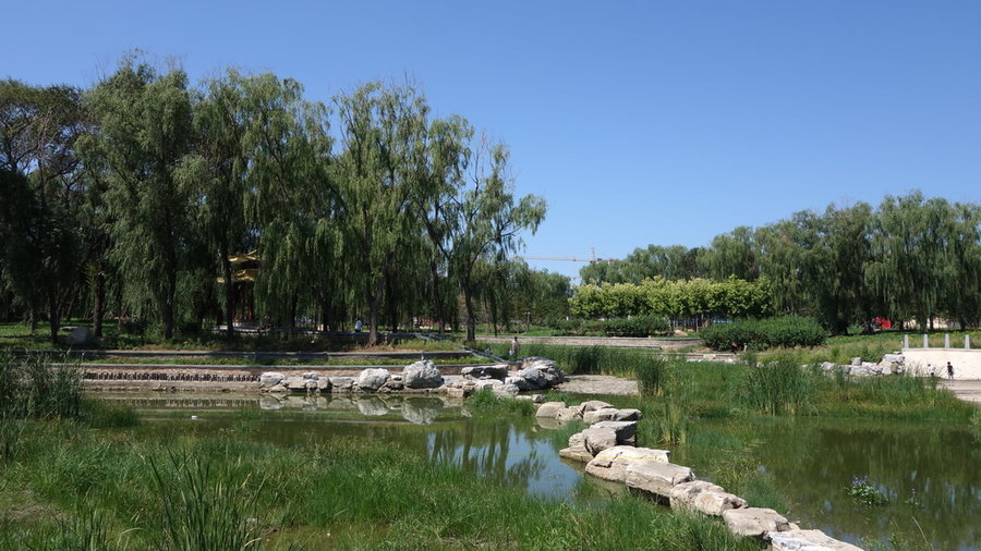月亮湾森林公园