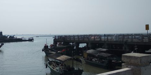 湛江东南码头
