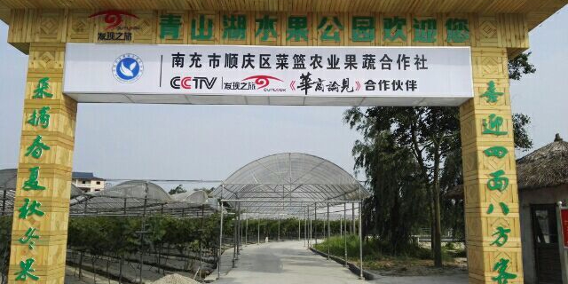 青山湖水果公园