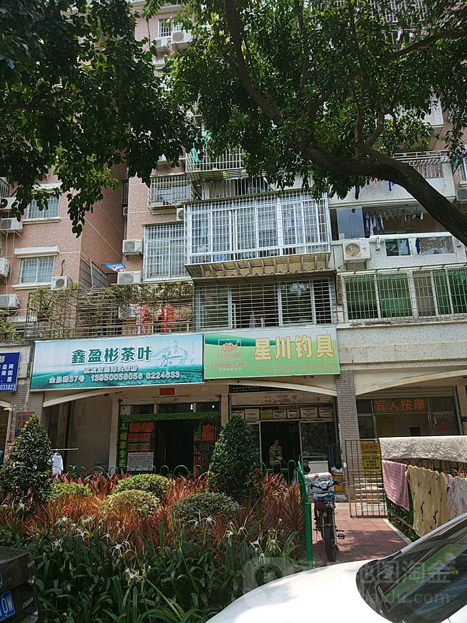鑫盈彬茶叶