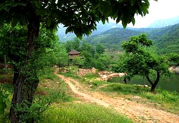 东莞市东城街道牛山社区山湖路1号