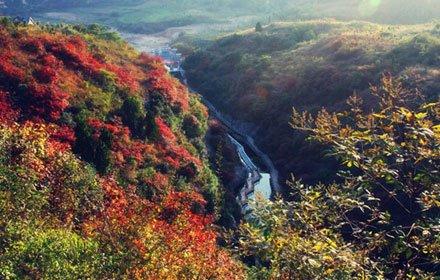 双龙山风景区