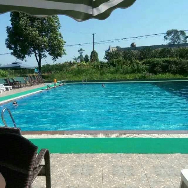 蔡茅草房游泳池