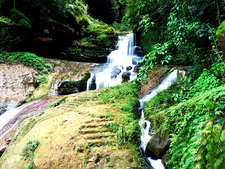 永定区标签: 风景区 旅游景点  燕子岩景区共多少人浏览:3731657