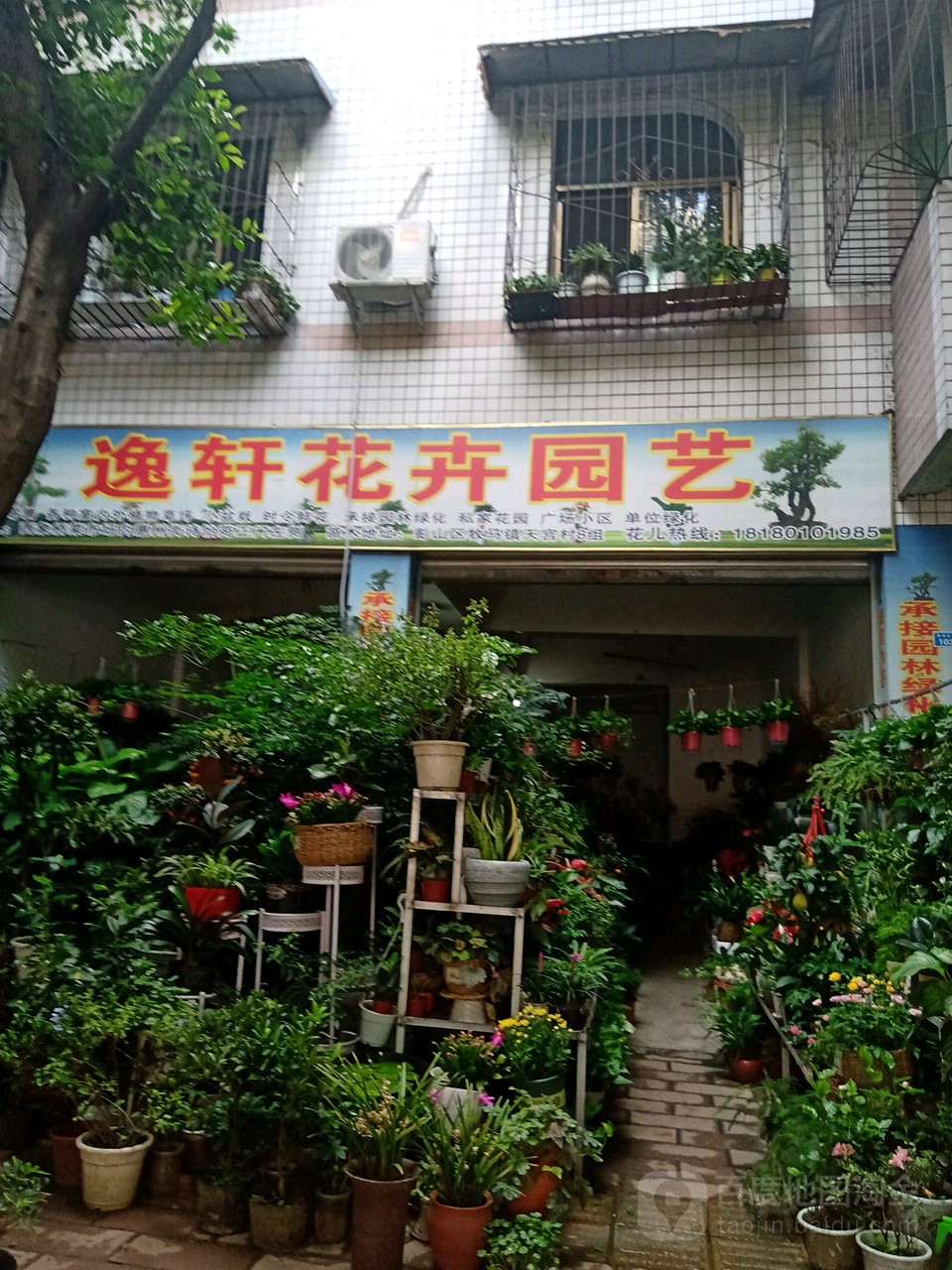 逸轩花卉园艺(天兴苑店)