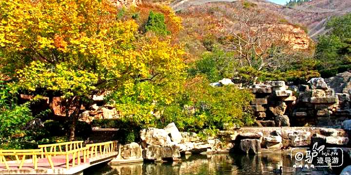 红叶谷生态文化旅游区-天趣苑