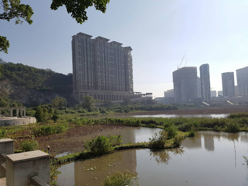 澳门美丽湿地