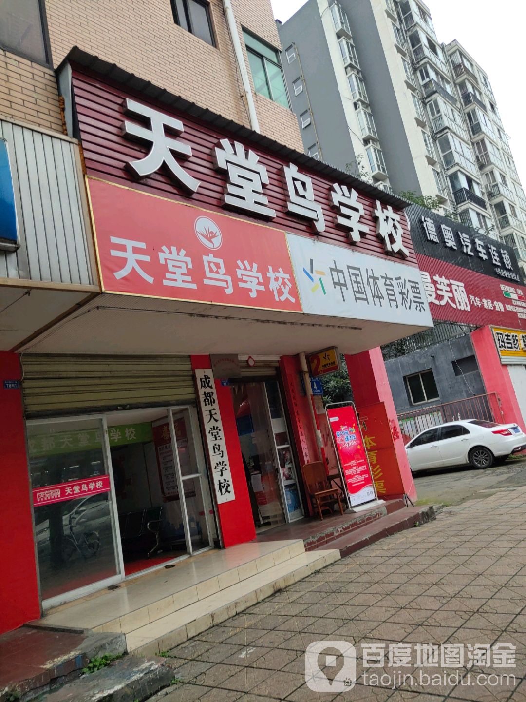 天堂鸟