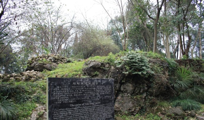 刘封城医治