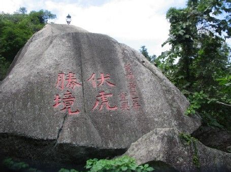 福建省泉州市泉港区涂岭镇松园村1组