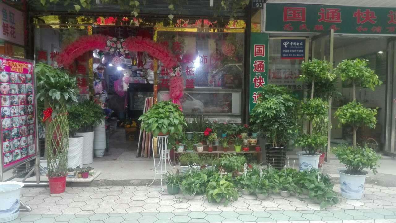 双西鱼缸(钤阳西路店)