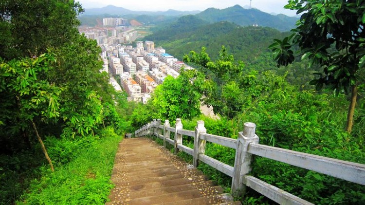 挂榜岭森林公园