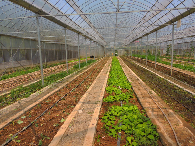 淀塘畈生态园餐