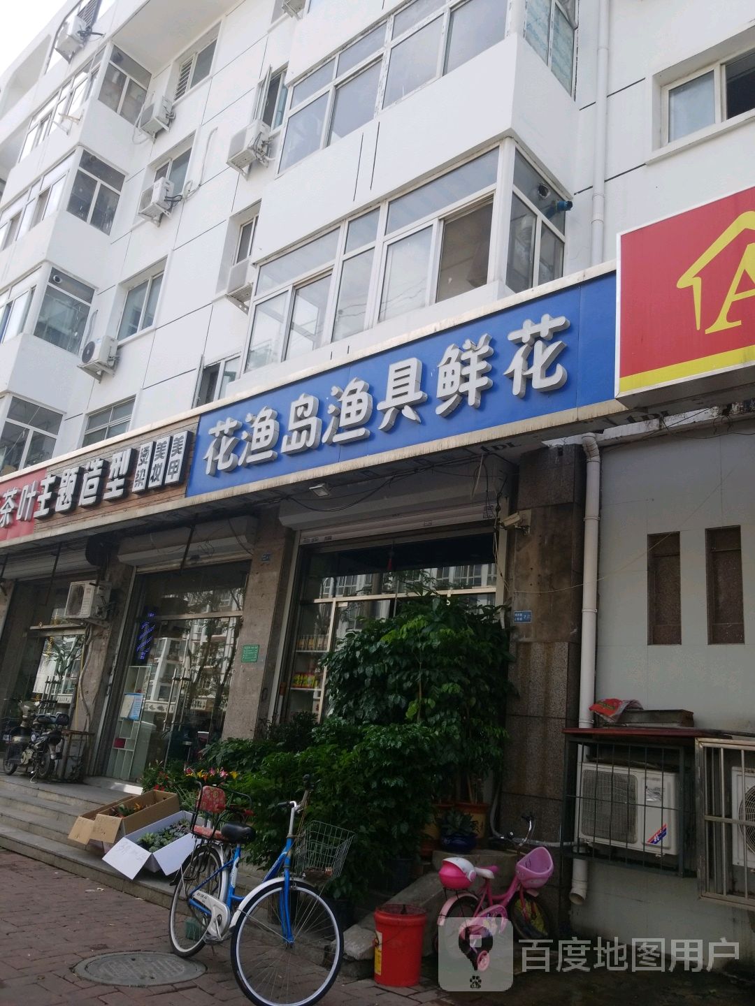 花渔岛渔具鲜花