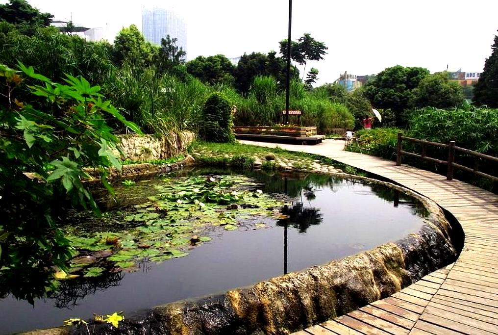 活水公園_上海_百度地圖