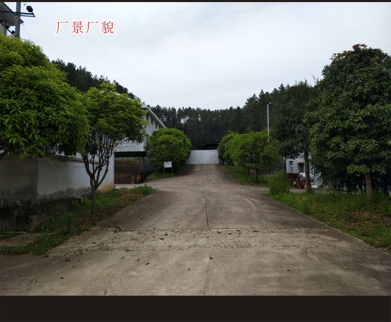 丰田钛业有限公司