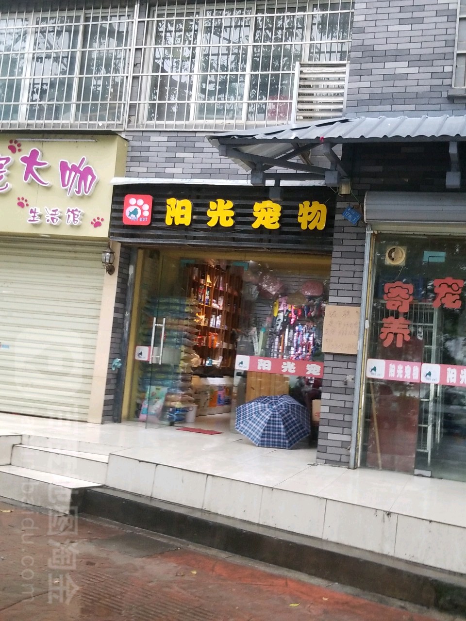 阳光宠物(滨江西路店)