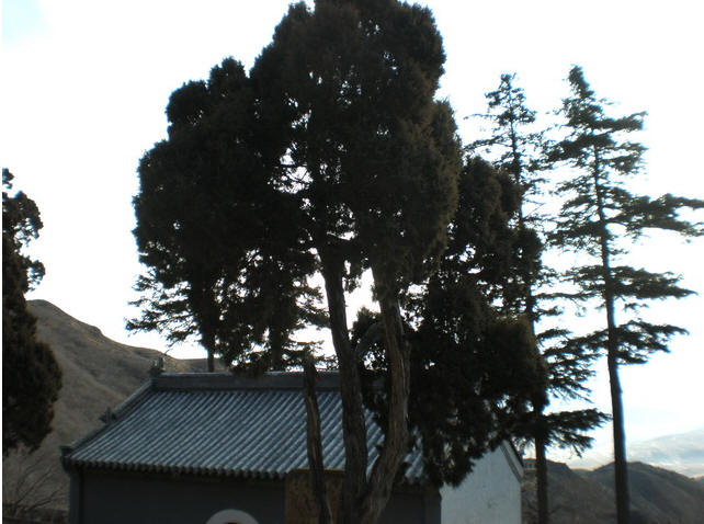 西山省级风景明胜区-古灵泉寺