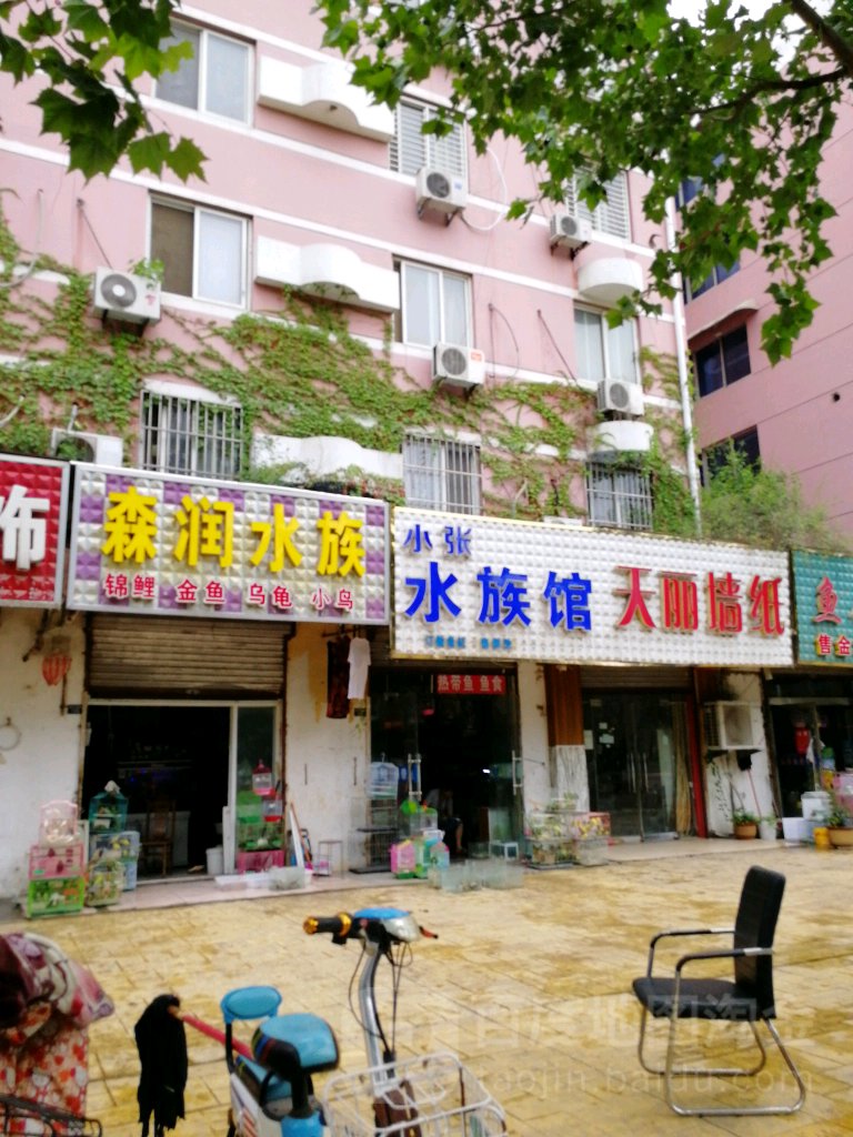 小张水族管
