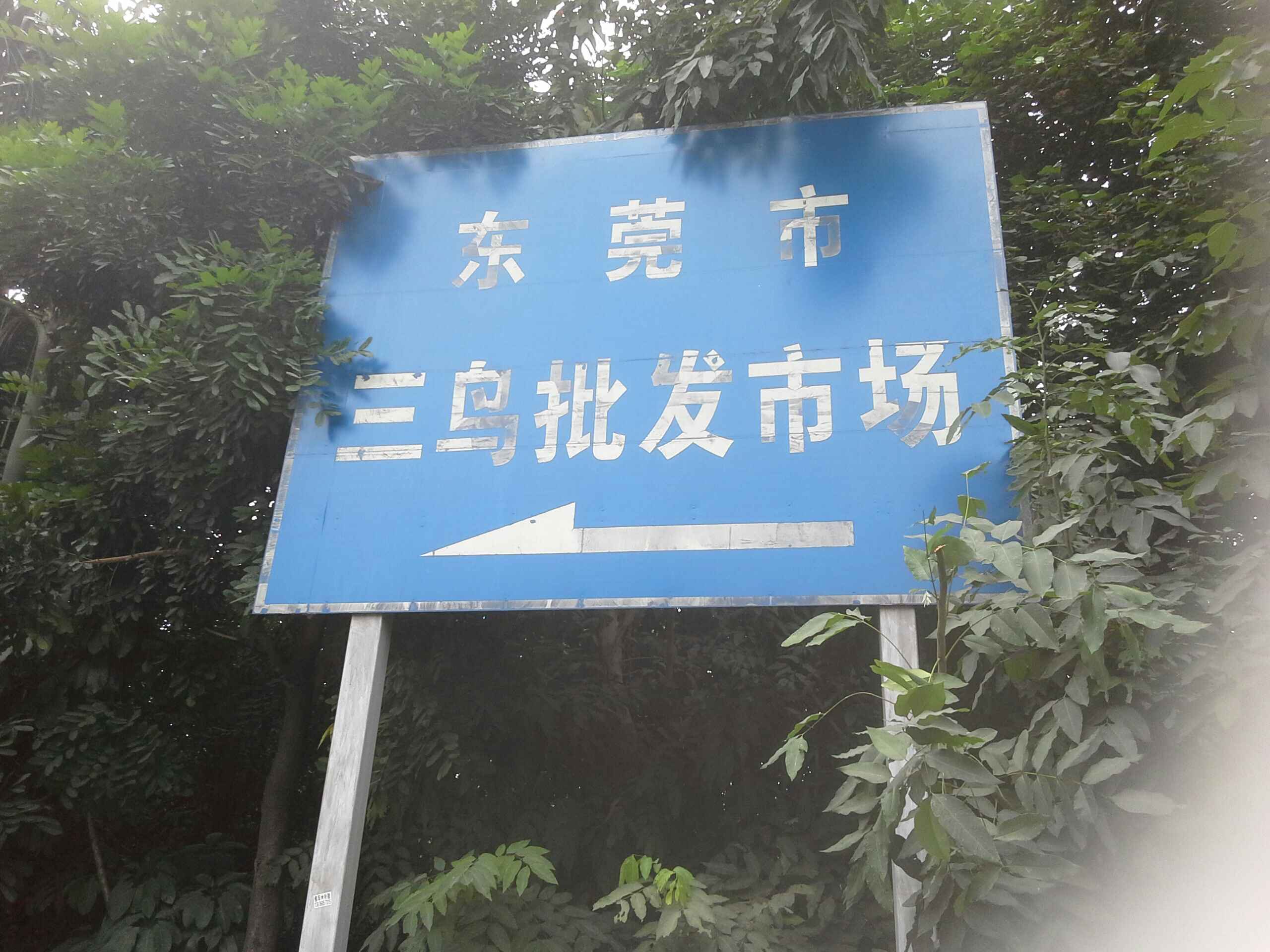 东莞市三鸟批发市场