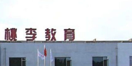 桃李教育(北校区)