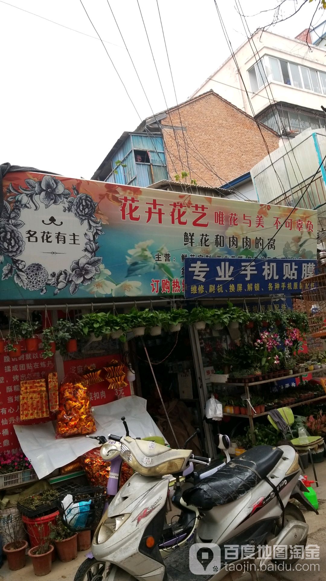 沈丘县槐店回族镇名花有主(长安西路店)