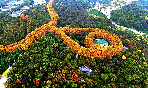 龙岩新罗区