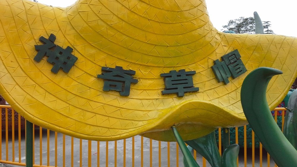 神奇帽草