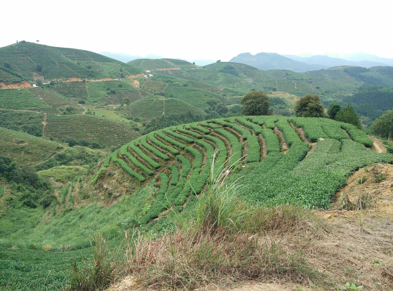 永春县坑仔口镇景山村图片