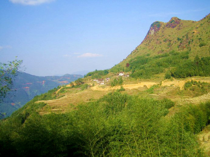 贡鸭山原生态森林园