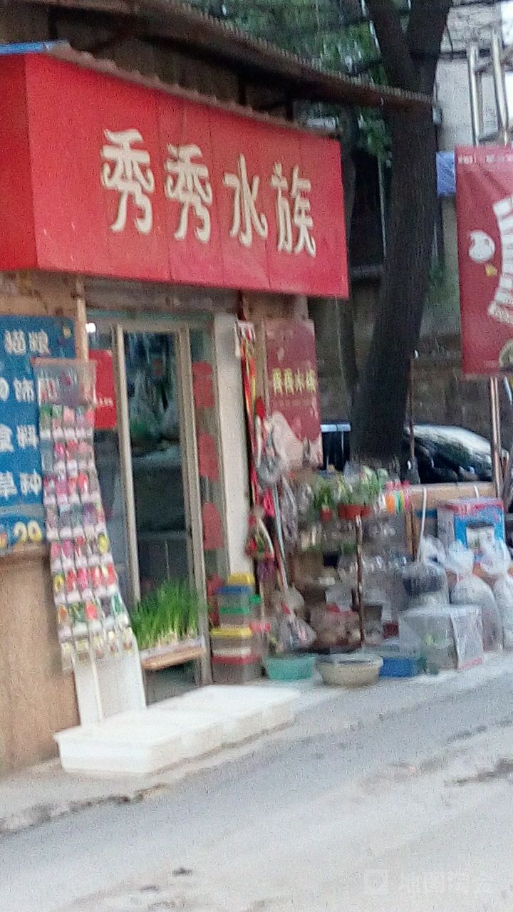 秀秀水族