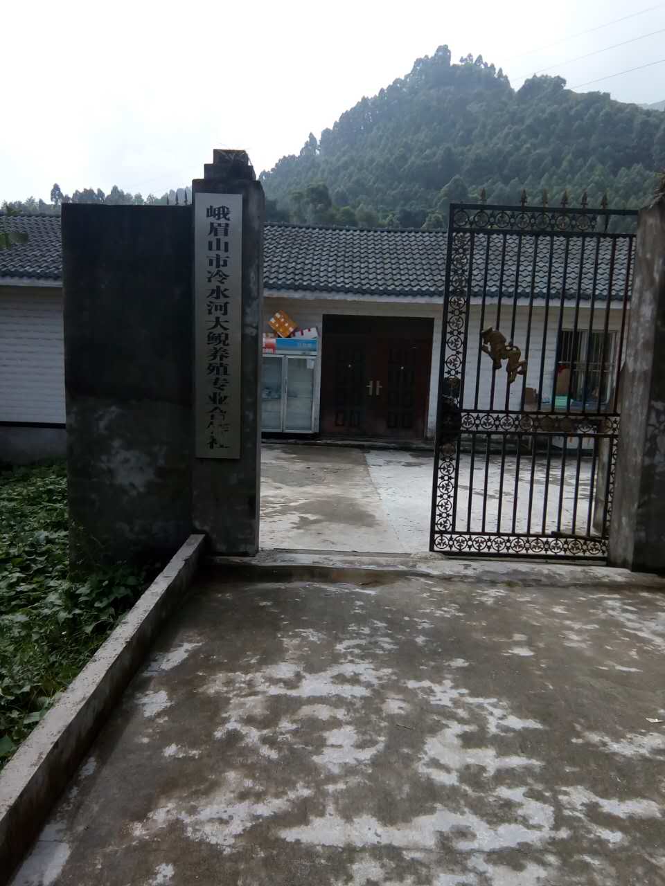 峨眉山市冷水河大鲵养殖专业合作社