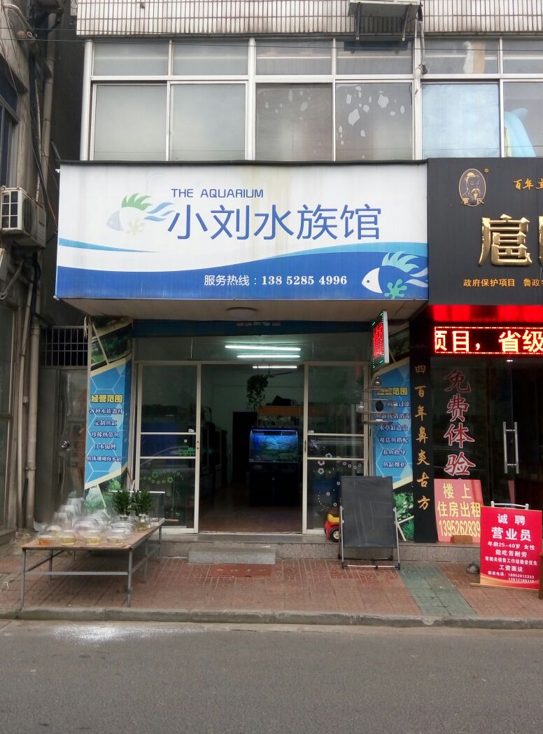 小刘水族馆