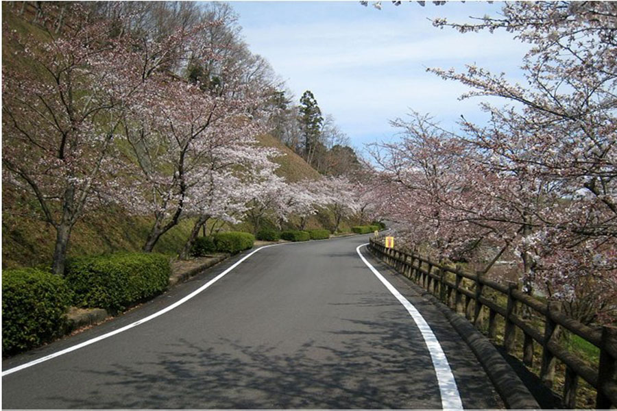神山森林公园