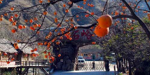 唐縣標籤: 國家公園 風景區 旅遊景點 公園 3a風景區 潭瀑峽共多少人