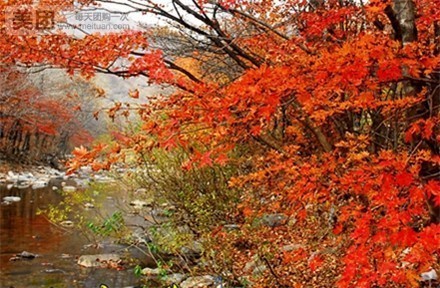 蒲石河森林公园