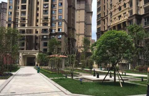 通佛路滇力小区