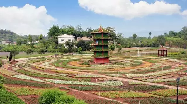 重庆市沙坪坝区凤凰镇胡南坝村凤凰花海景区