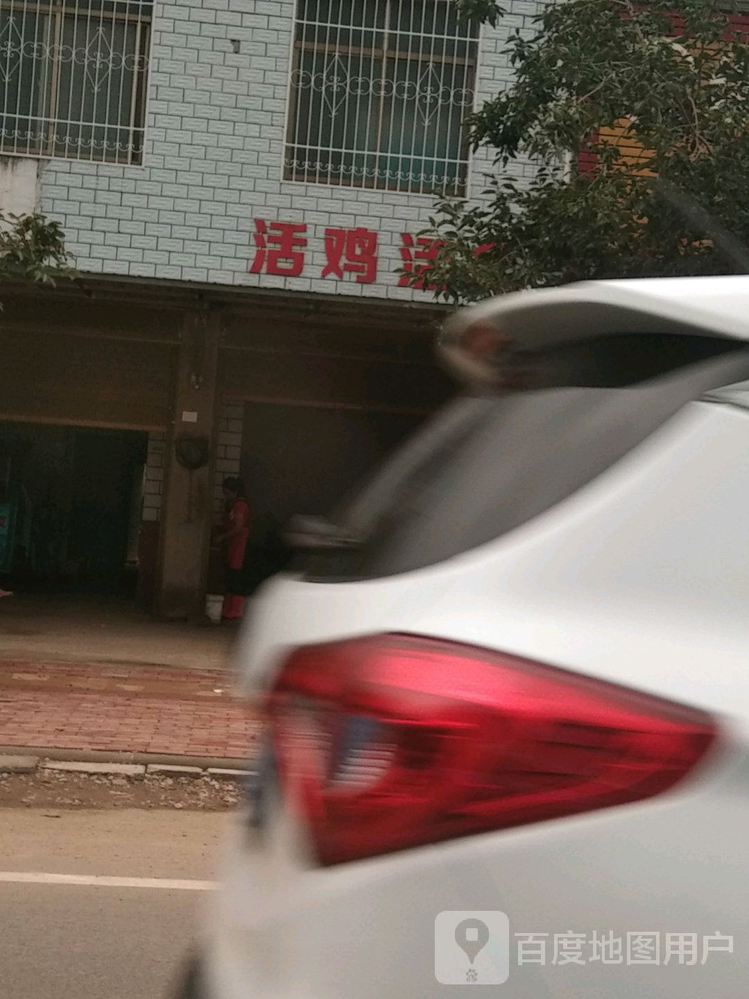 卧龙区王村乡活鸡活鱼(S327店)