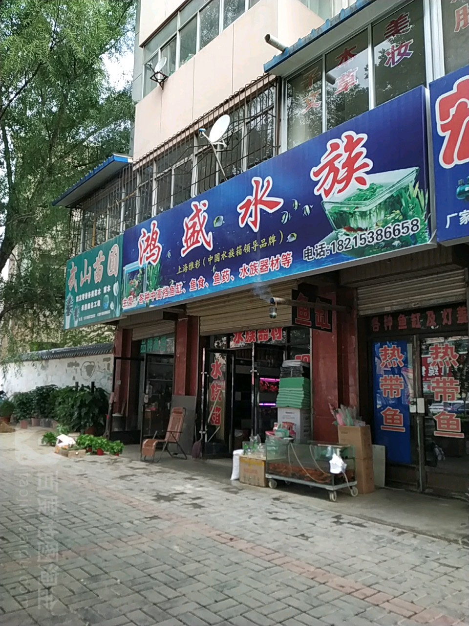鸿盛水族